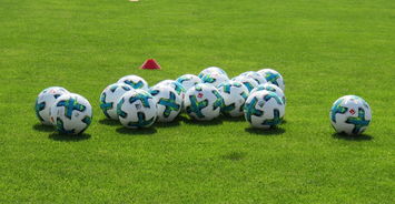 乐鱼app官方下载-俱乐部与文化机构合作打造赛场文化展示空间,俱乐部组织文化